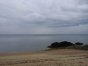 20170118_073922-300x225.jpg
