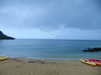 DSCF7235.jpg