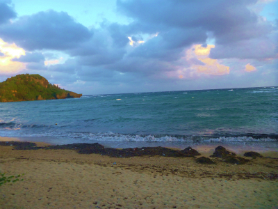P1000115.jpg