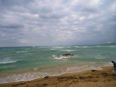 P1000117.jpg