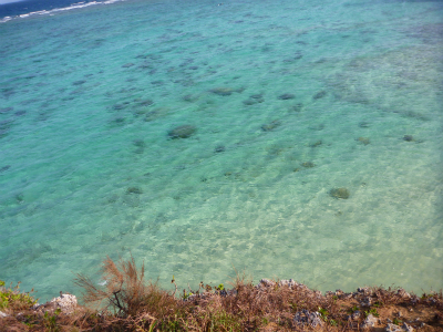 P1000629.jpg