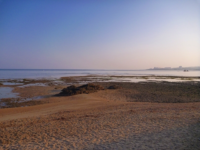 P1060557.jpg