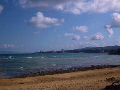 P1060656.jpg