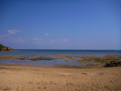 P1060681.jpg