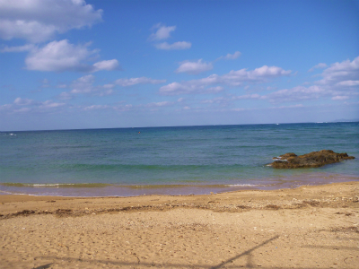 P1080004.jpg
