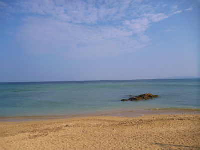 P1080667.jpg