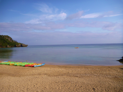 P1090037.jpg