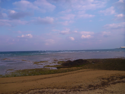 P1120476.jpg