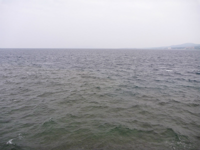 P1140771.jpg
