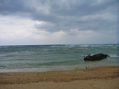 P1150504.jpg