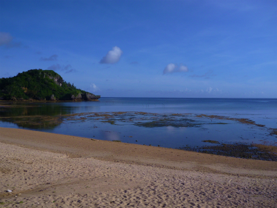 P1230004.jpg