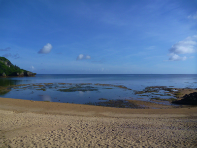 P1230005.jpg