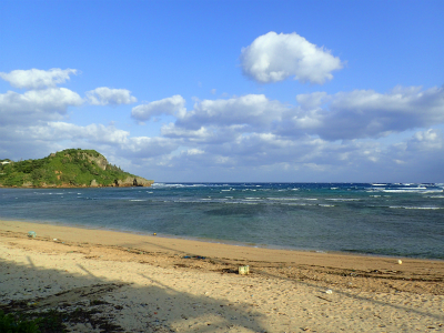 P1230153.jpg