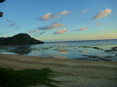 P1250289.jpg