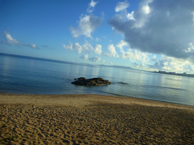 P1250333.jpg