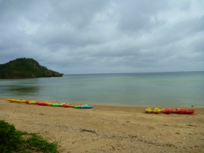 P1260957.jpg