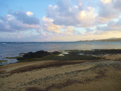 P1280003.jpg
