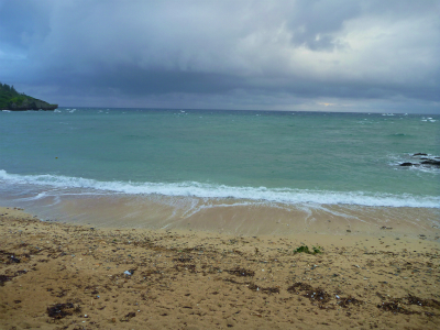 P1280221.jpg