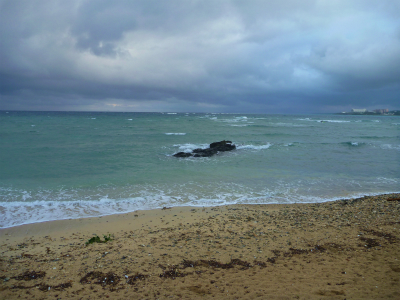 P1280222.jpg