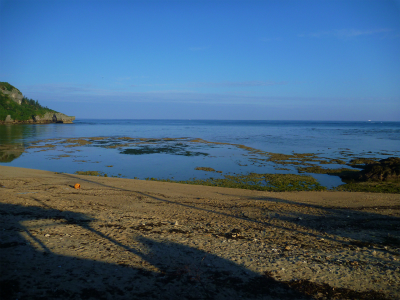 P1280290.jpg