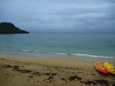 P1280471.jpg