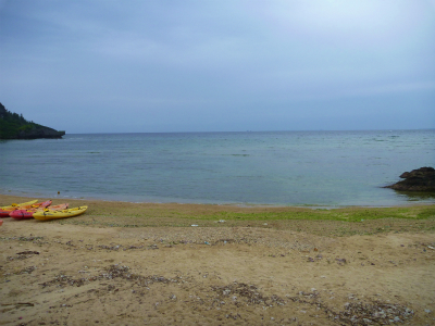 P1310458.jpg