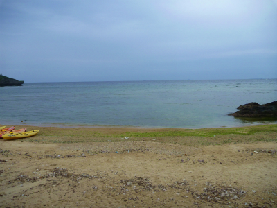 P1310459.jpg