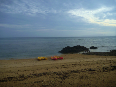 P1350049.jpg