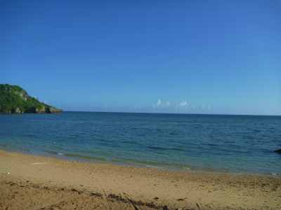 P1360021.jpg