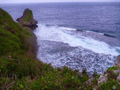 P1450474.jpg