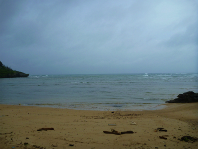 P1490177.jpg
