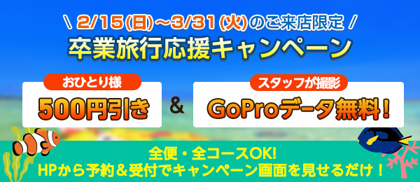 全員対象！おひとり様500円OFF、スタッフ撮影のGoProデータ無料