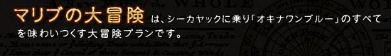 オキナワンブルーの全てを味わいつくす大冒険プラン