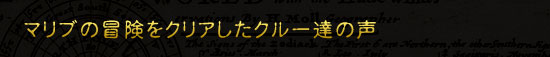 実際のお客様の声