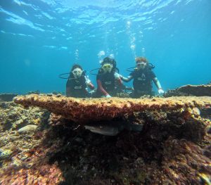 お客様紹介(^_-)-☆