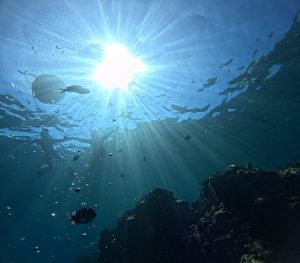 お客様紹介( *´艸｀)